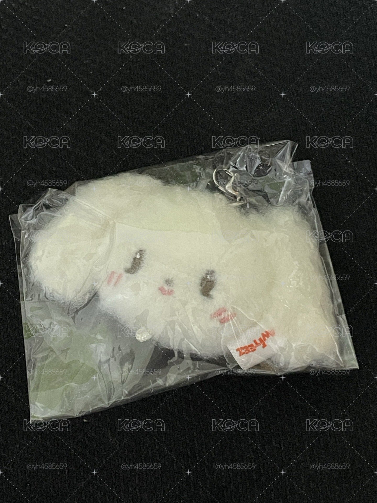 現貨 ANITEEZ隨機吊飾 呂尚