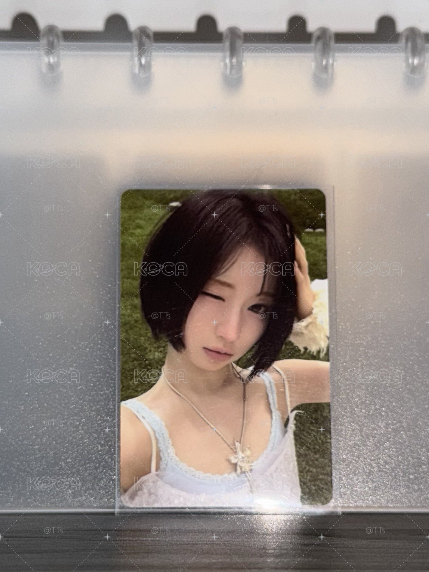 速標❗️wink角