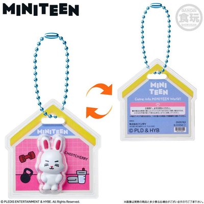 日本萬代＆Miniteen聯名食玩盲袋 兩包