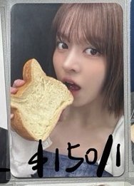 貓咪吐司莉