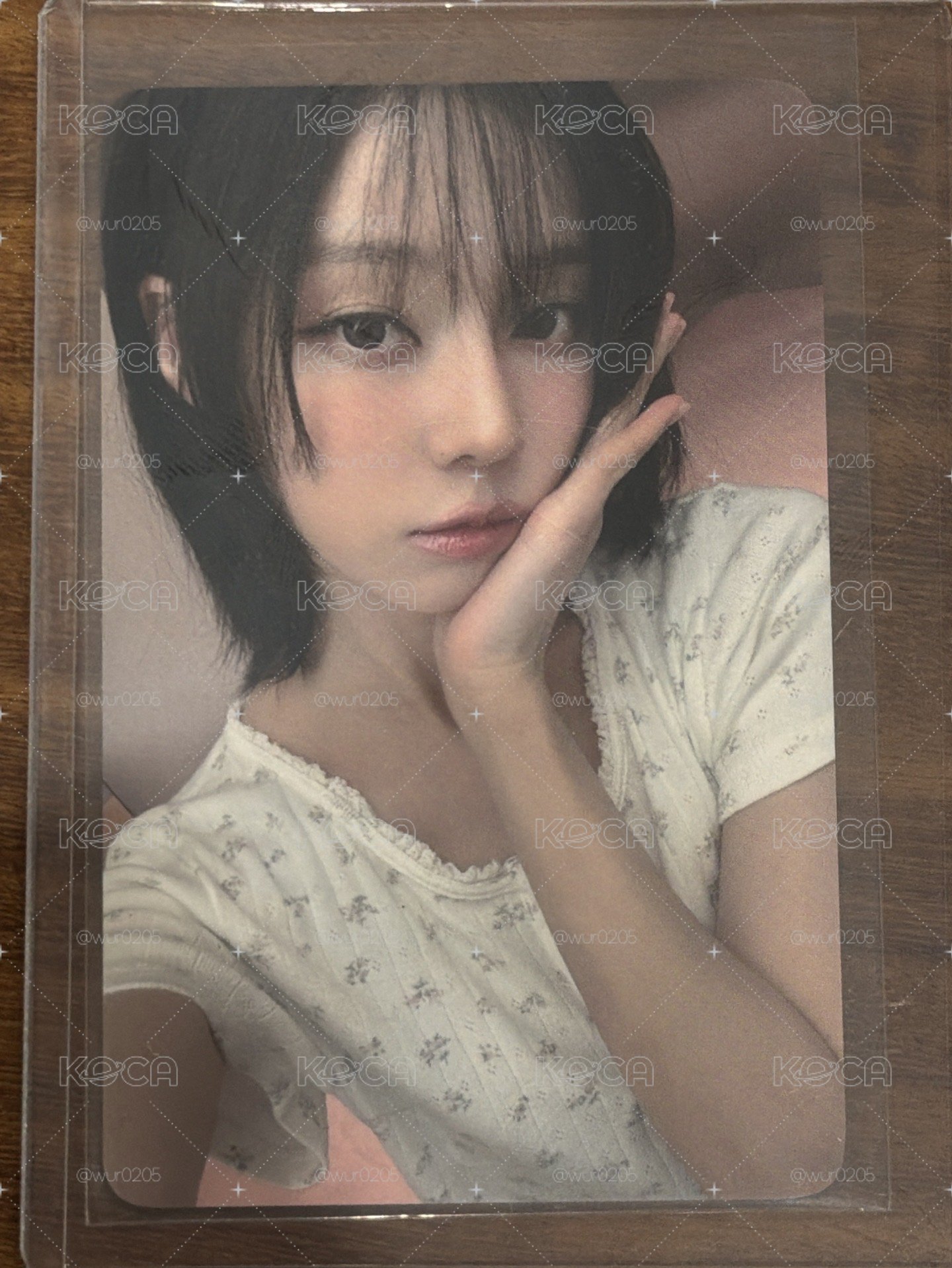 泡泡摩奇 簽售冬