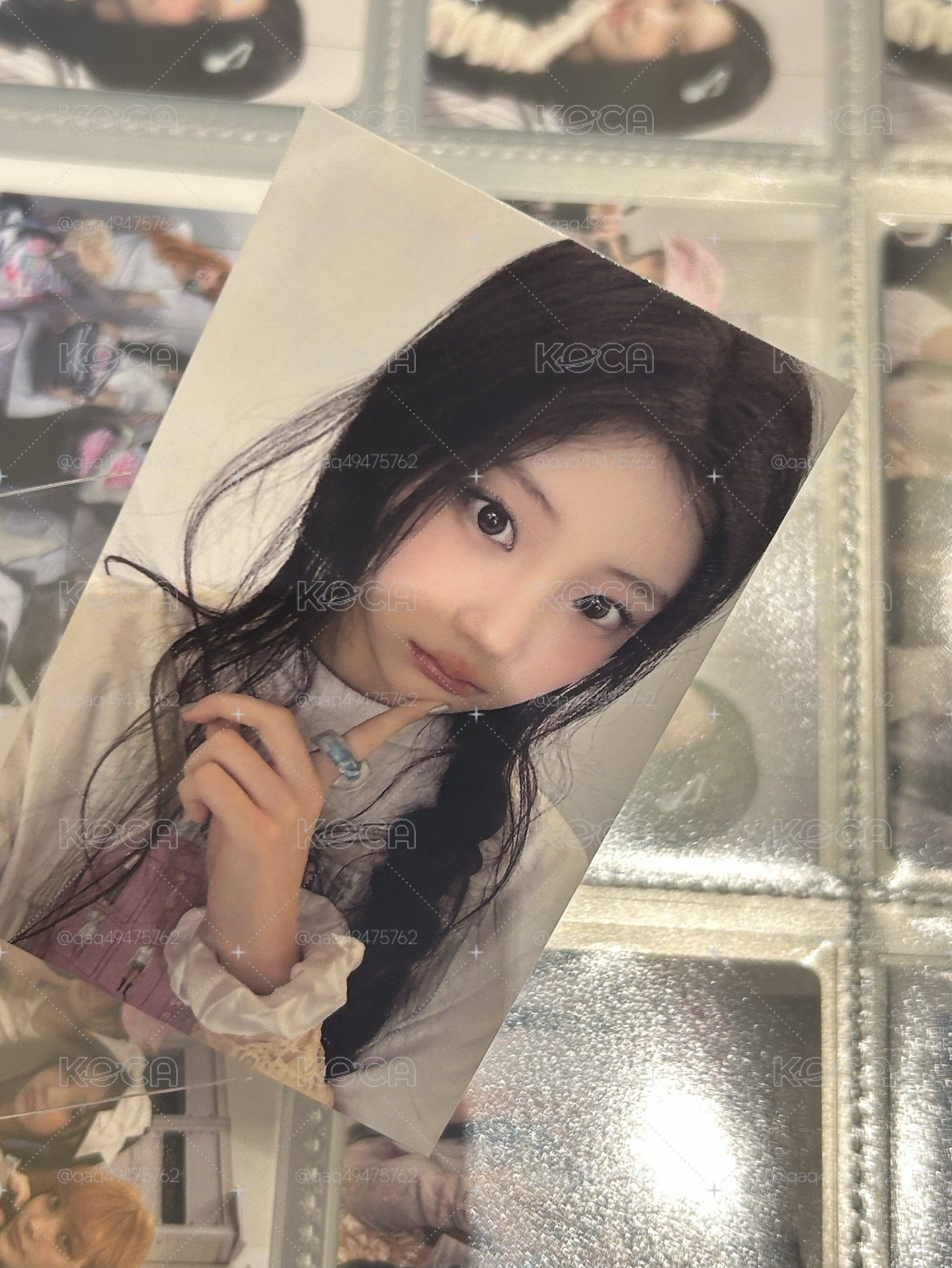 韓粽禧