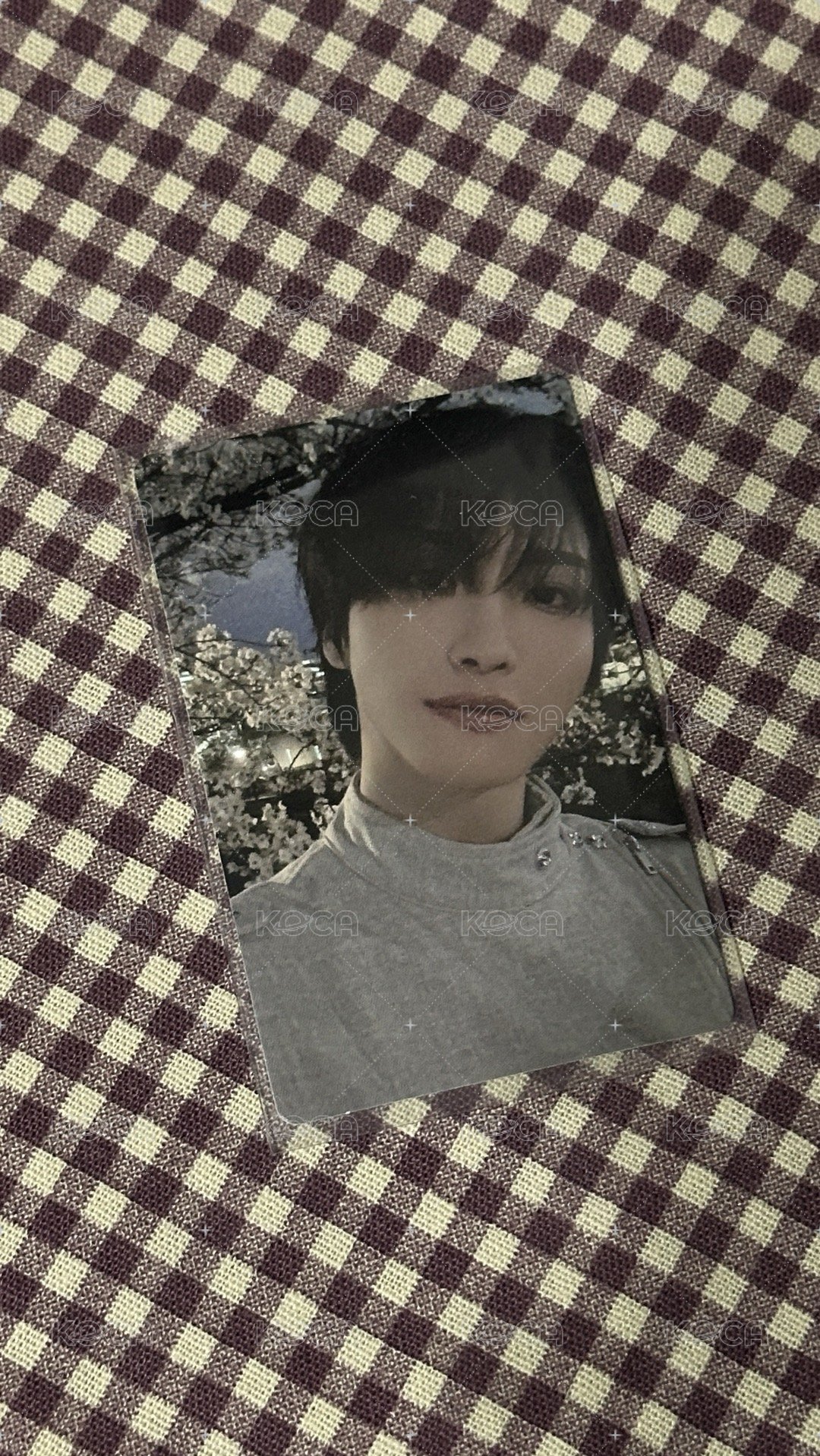 🌸星