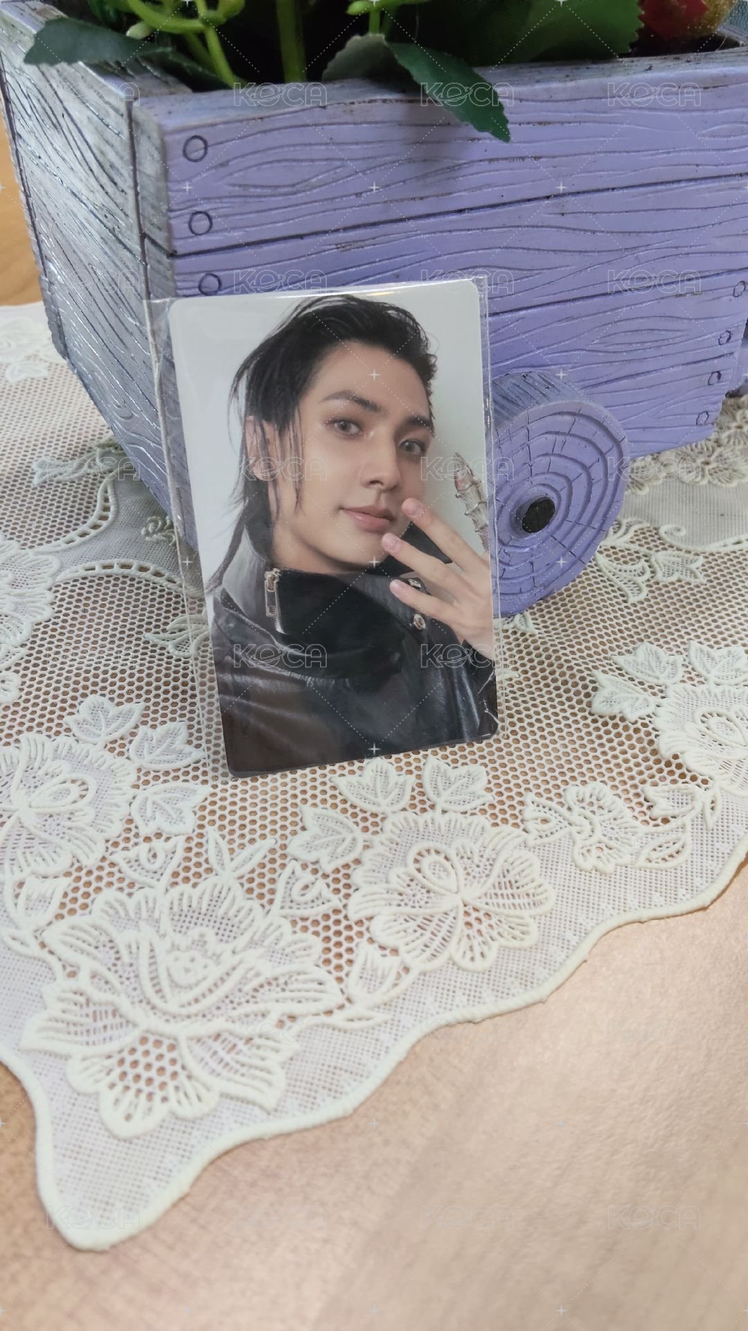fans sc 特典卡