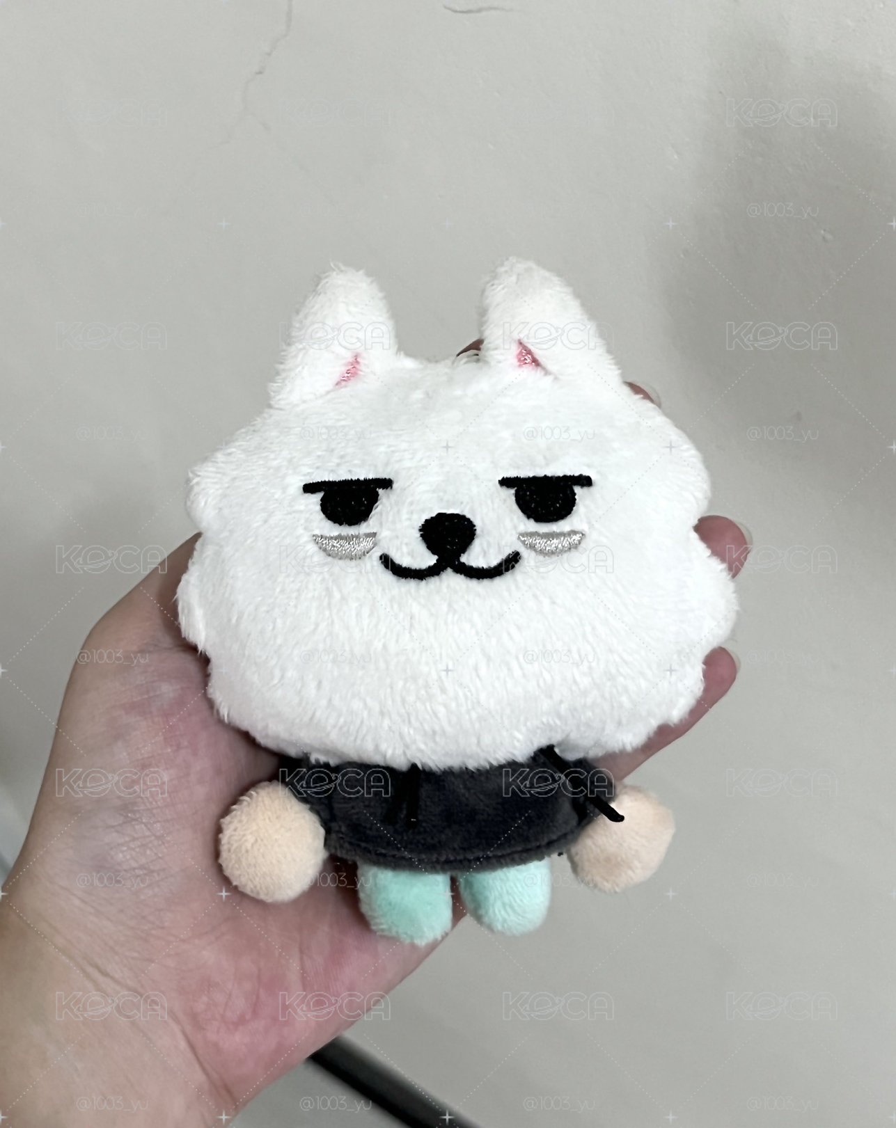 PPULBATU快閃 娃娃玩偶 CHOI YONG MEONG 站娃