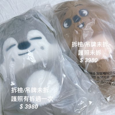 泰迪盤