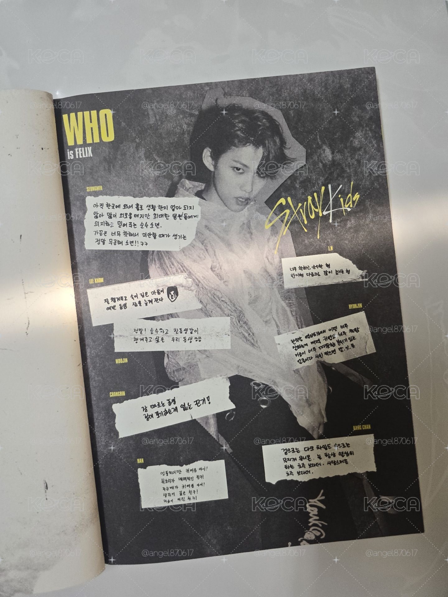 I am WHO全專