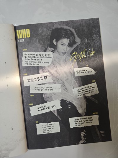 I am WHO全專