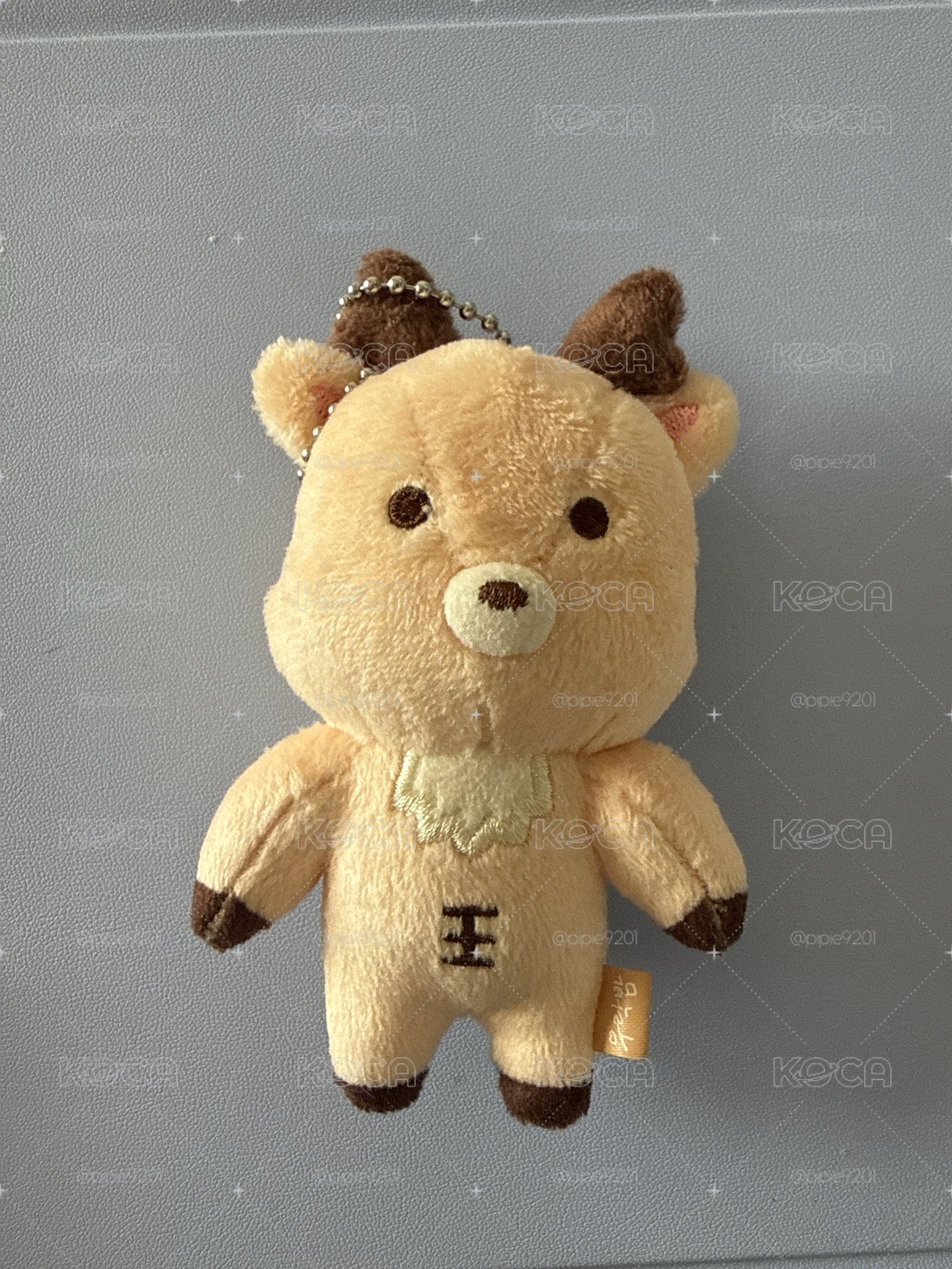 原皮烏拉鹿