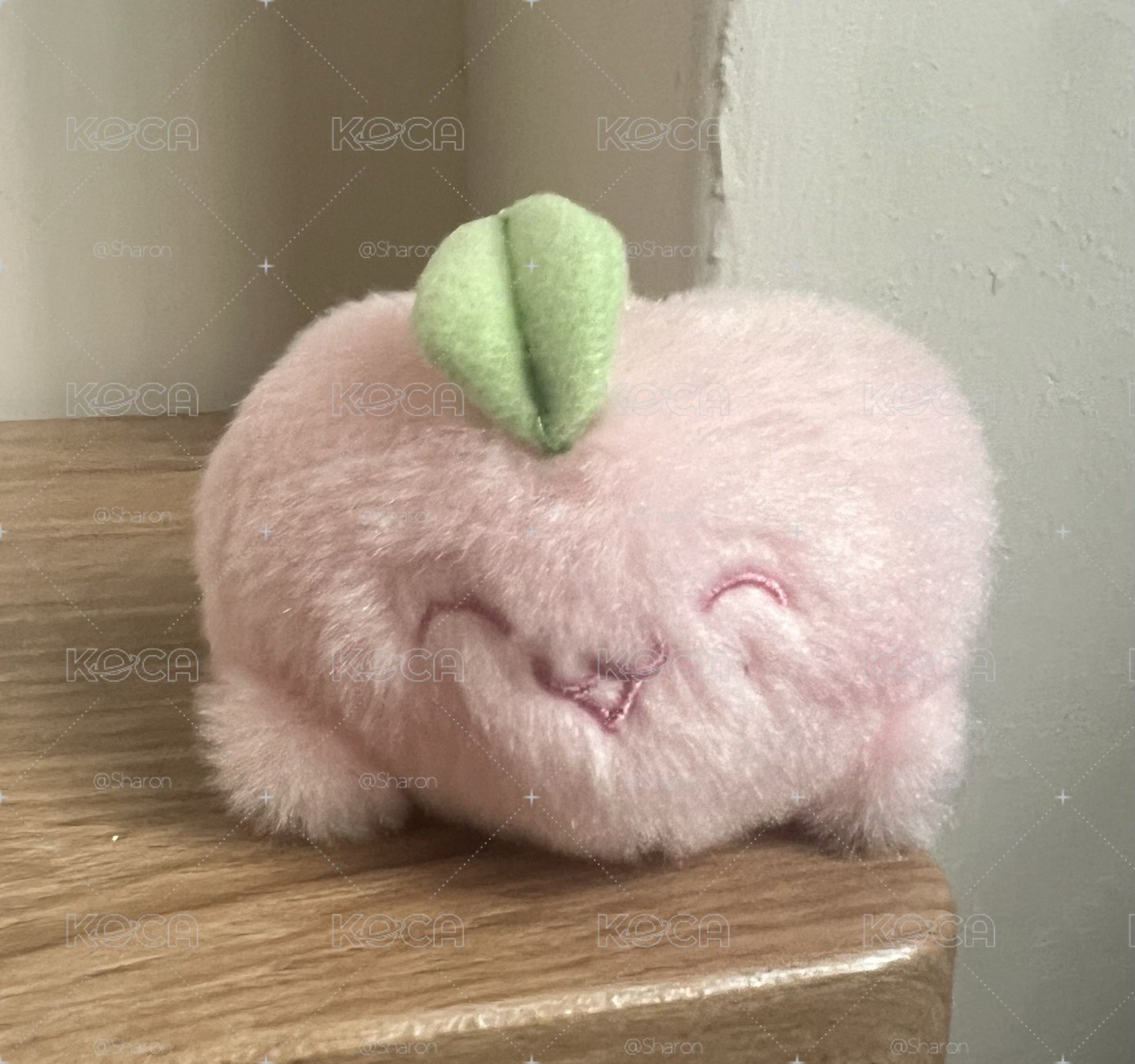在玹桃子
