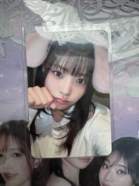 兔耳燕 含一套普專