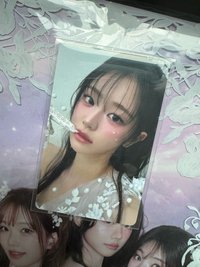 wvs早鳥丹 含一套普專
