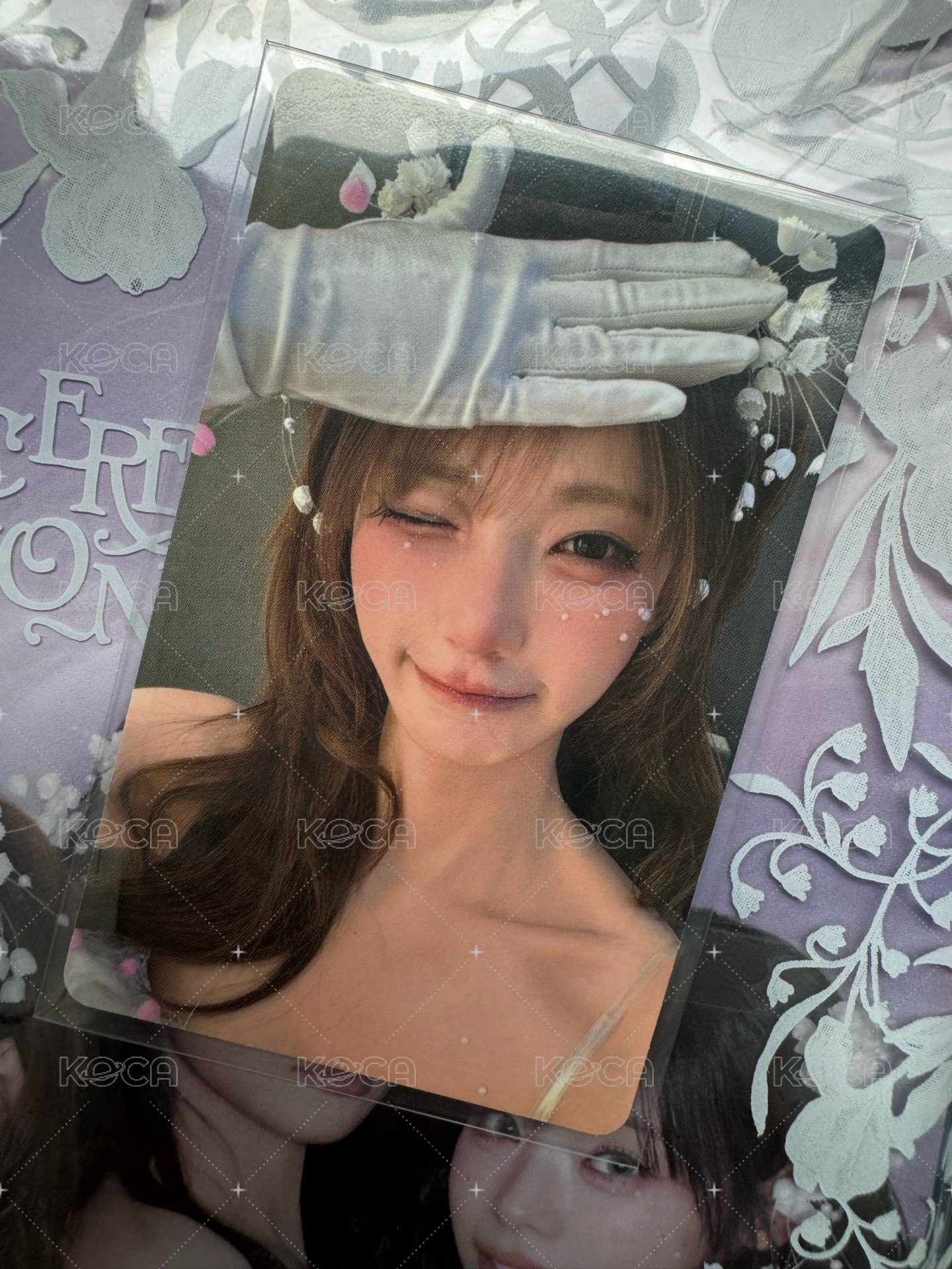 wvs早鳥塔 含一套普專