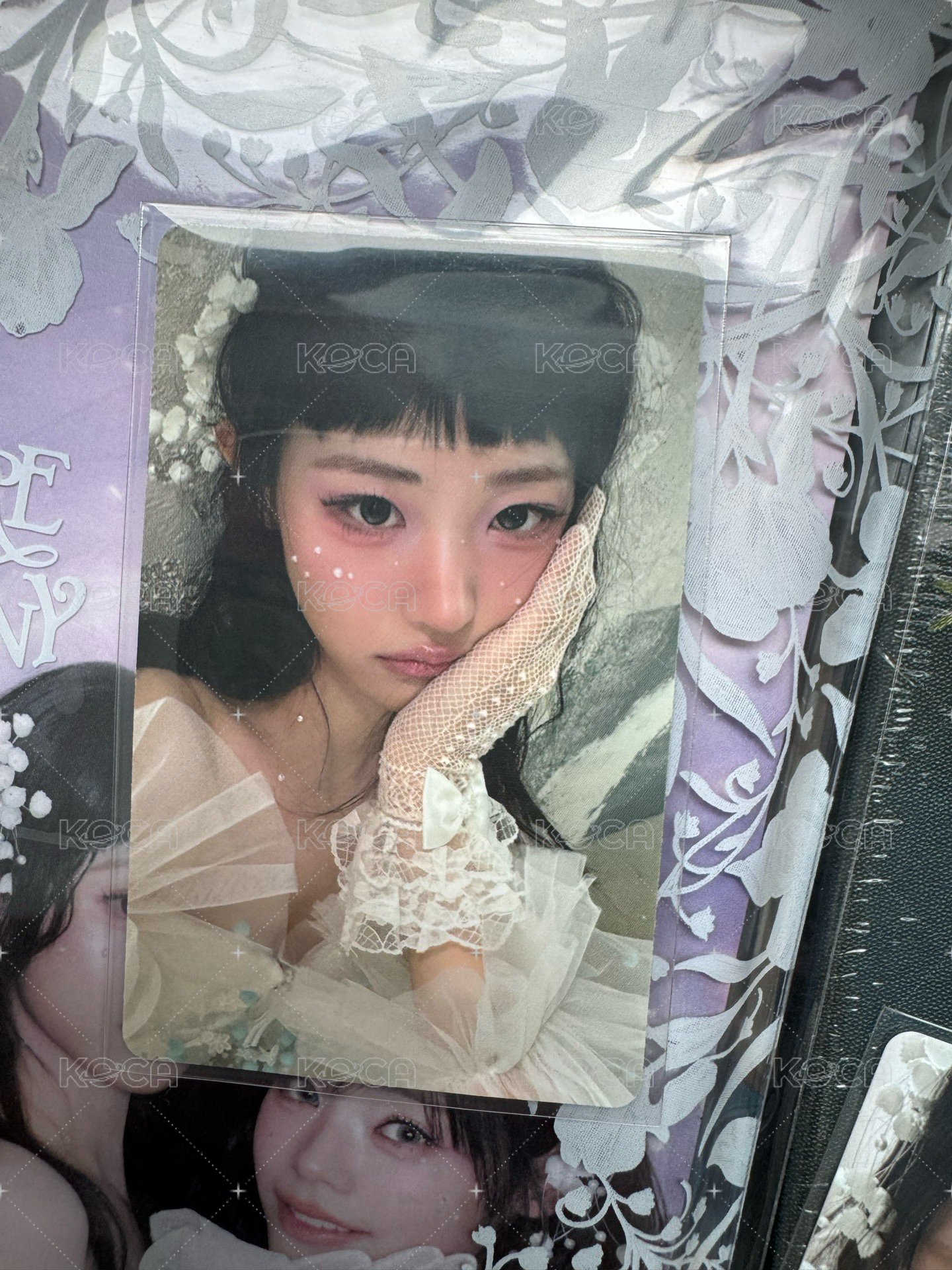 wvs早鳥娜 含一套普專
