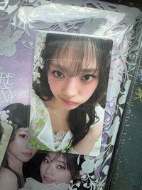 wvs早鳥燕 含一套普專