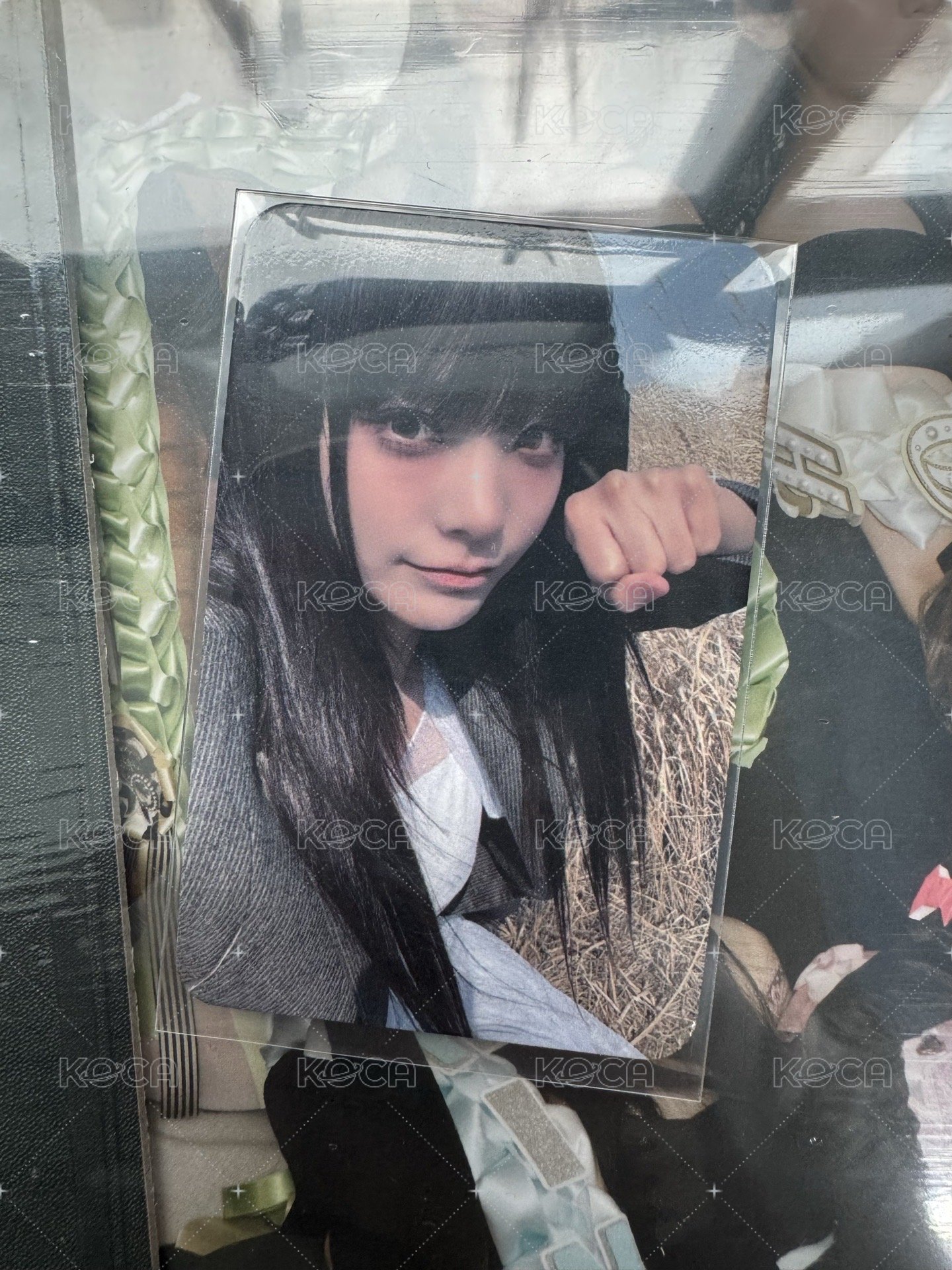 msg預售燕 含一套普專
