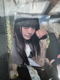 msg預售燕 含一套普專