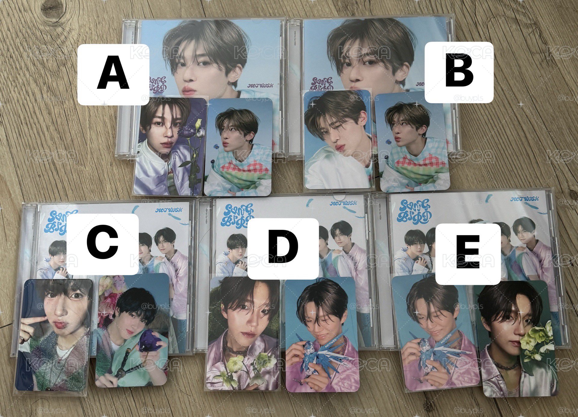 NCT Wish Songbird 全專