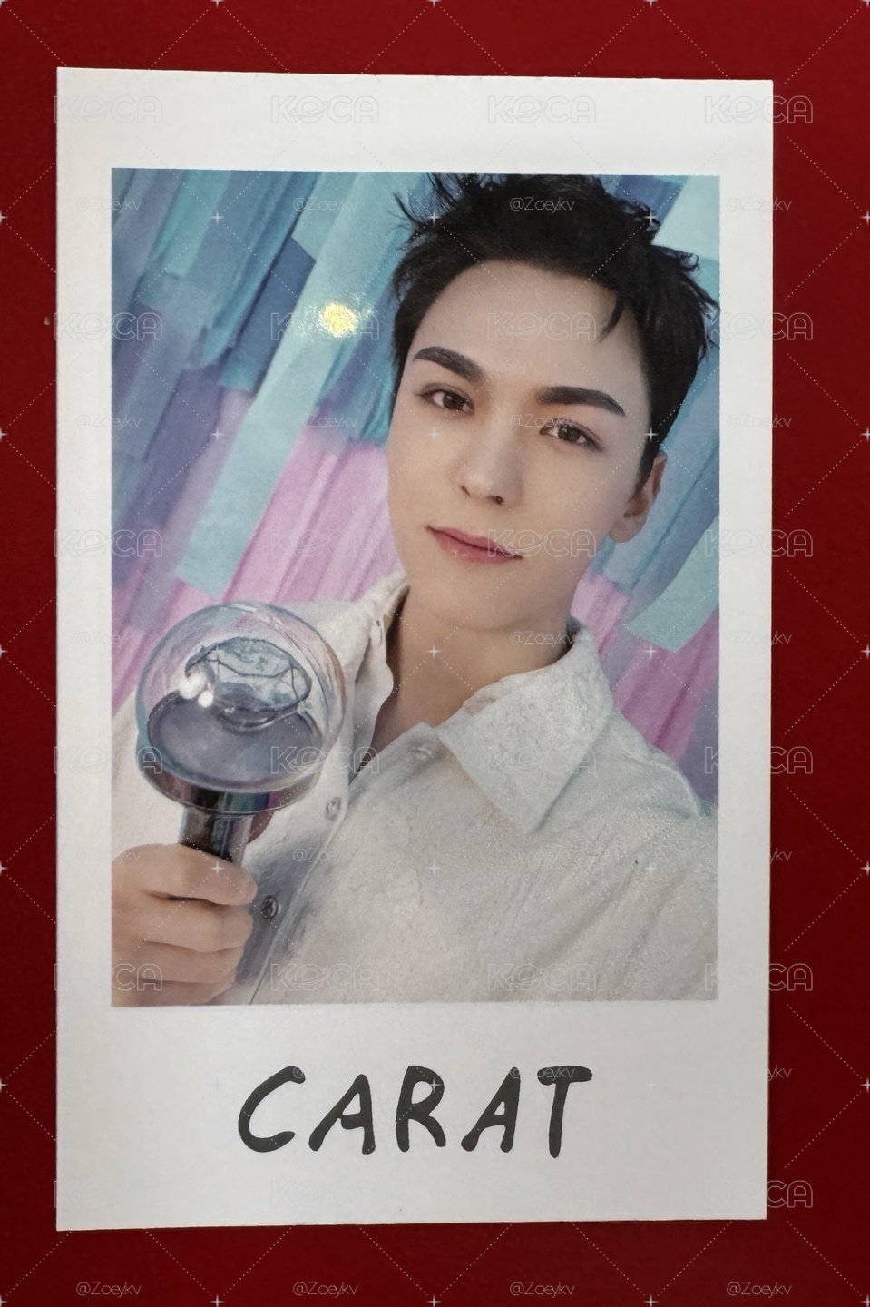 Seventeen Vernon 拍立得 崔瀚率 日本飯咪週邊