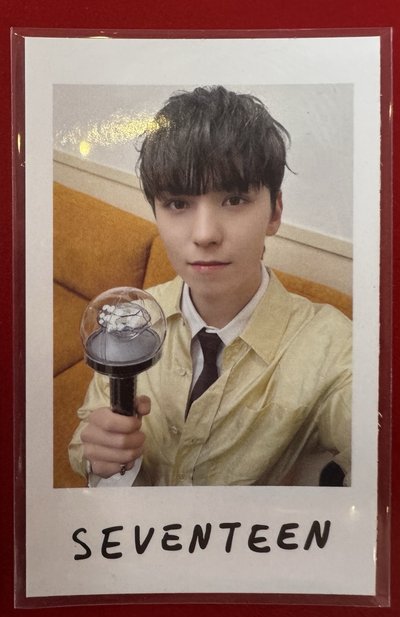 Seventeen Vernon 拍立得 崔瀚率 日本飯咪週邊