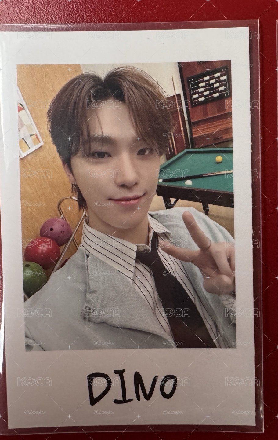 Seventeen 李燦 拍立得 DINO 日本飯咪週邊
