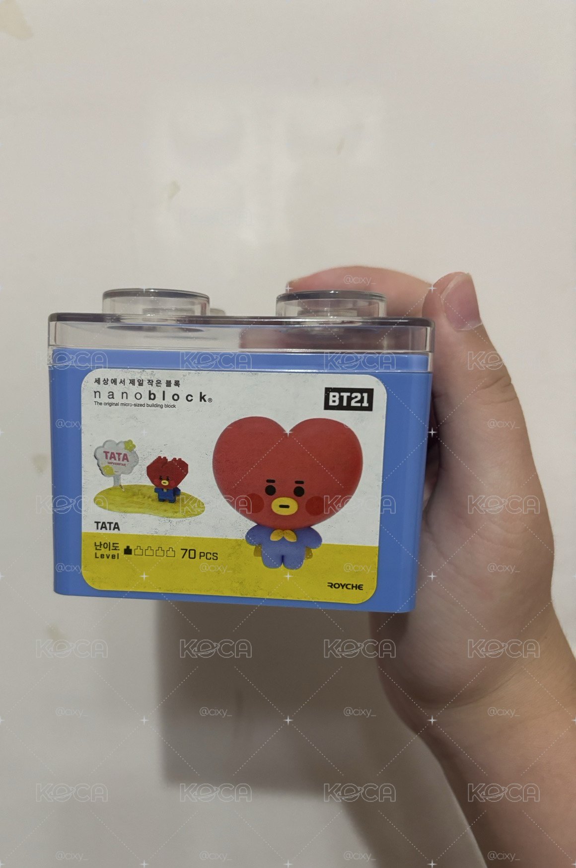 BT21 TATA正版積木