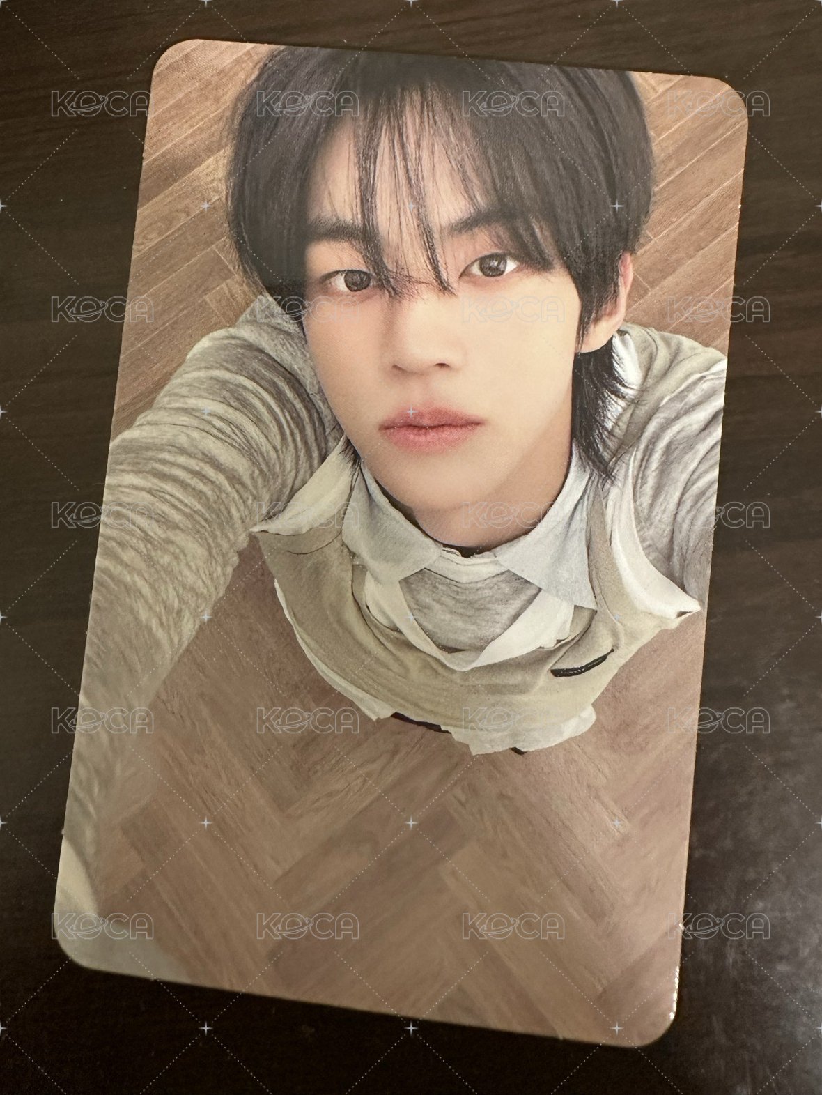 小狗勳看你