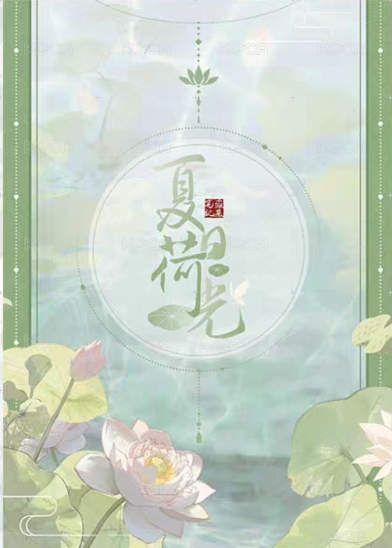 2025生日 夏日荷光 拍立得  背面