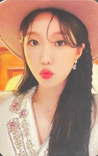 2022 WJSN CONCERT 'WONDERLAND' 小卡組 周邊卡 