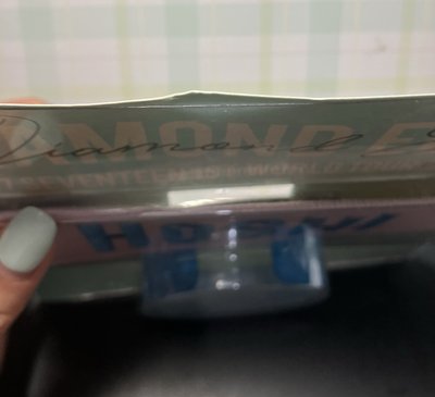 DE 權順榮布章