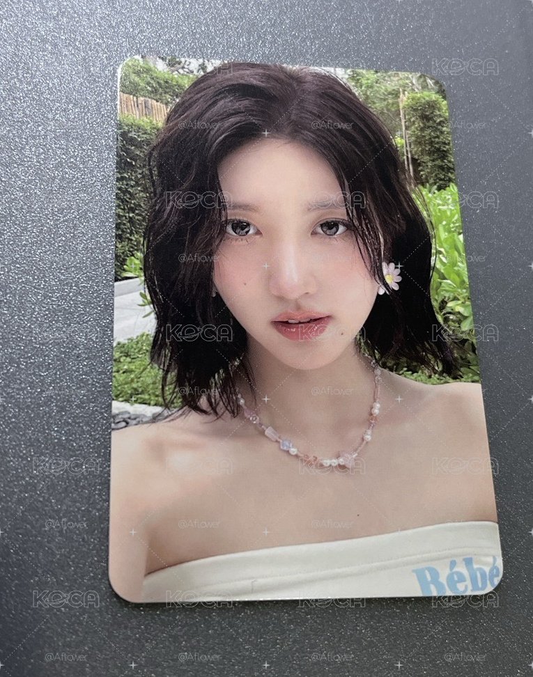 夏日寫真秋