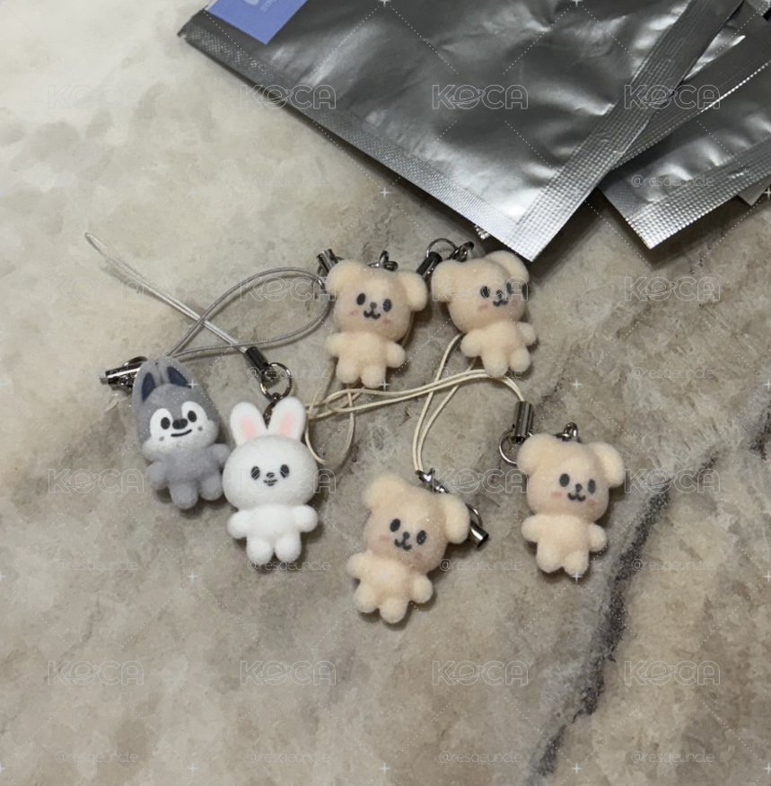 [Stray Kids] SKZOO 6th FM 植絨吊飾 Puppy M