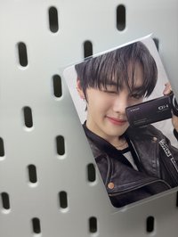 小狗奎彬