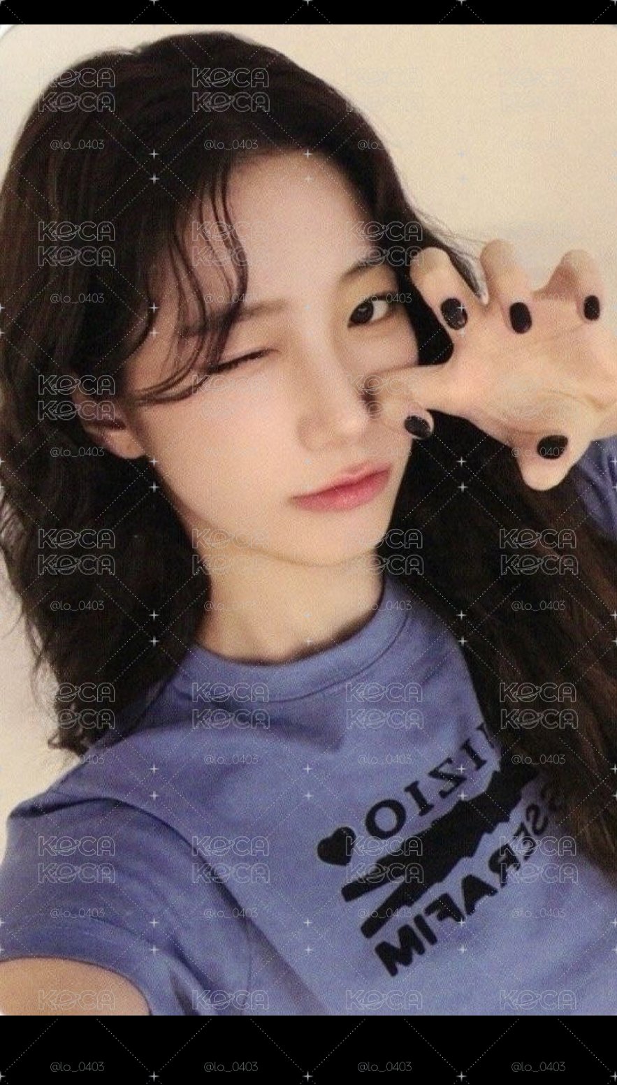 爪爪葉