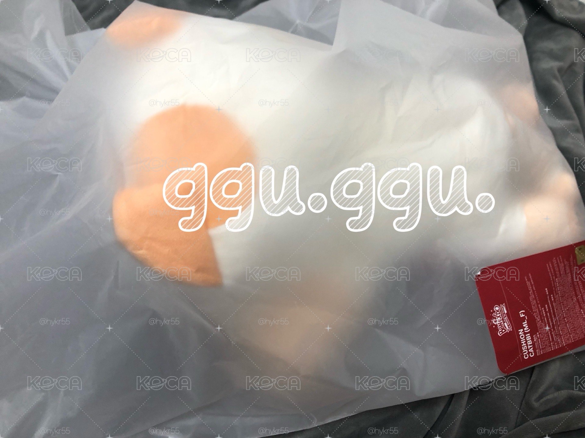 BOYNEXTDOOR CATBBI娃抱枕 趴娃