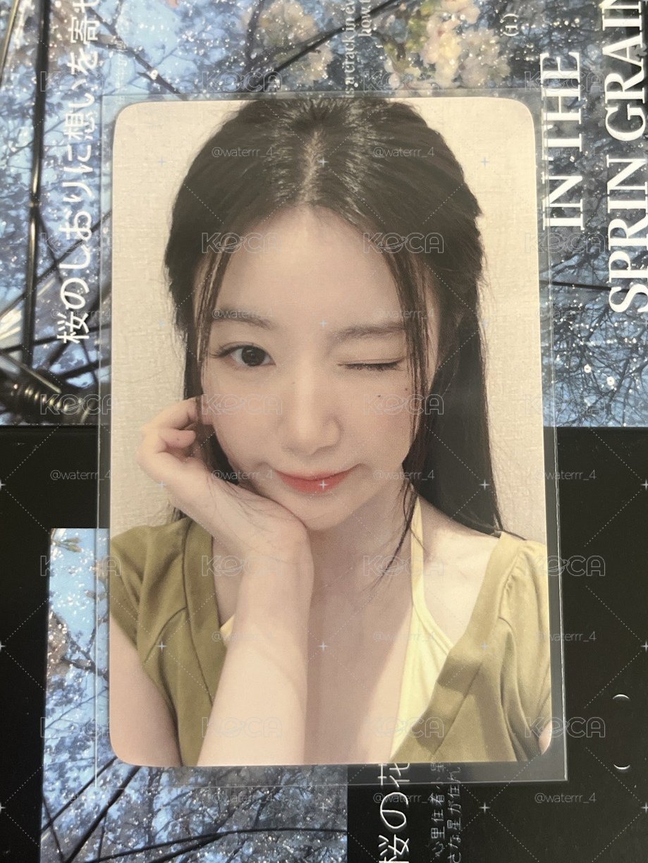 刷刷大王駕到👸
