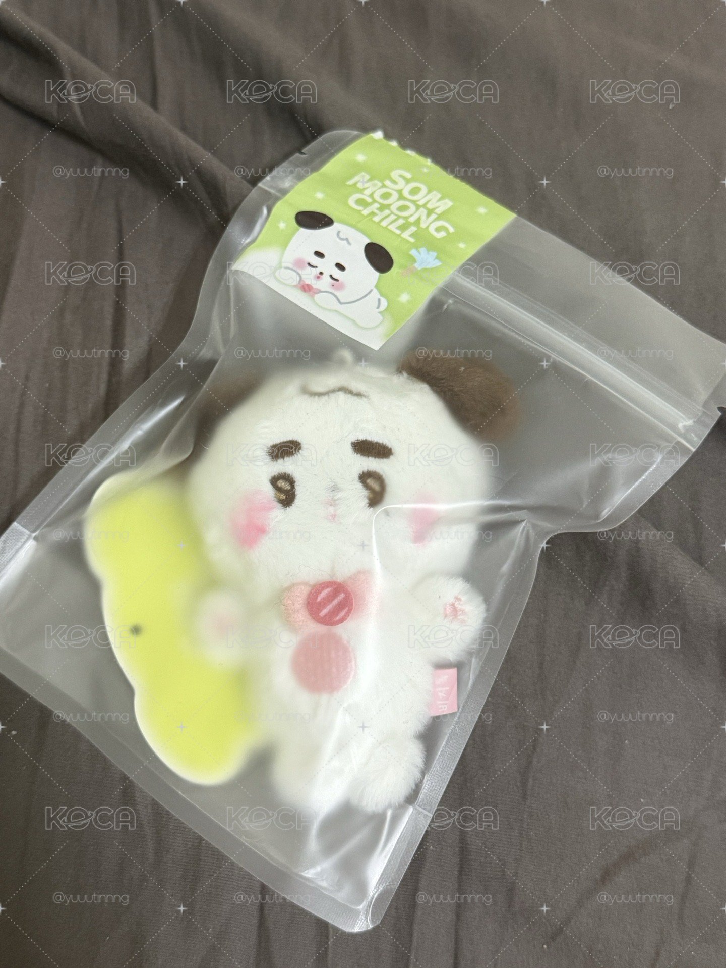 廷祐｜忙狗娃