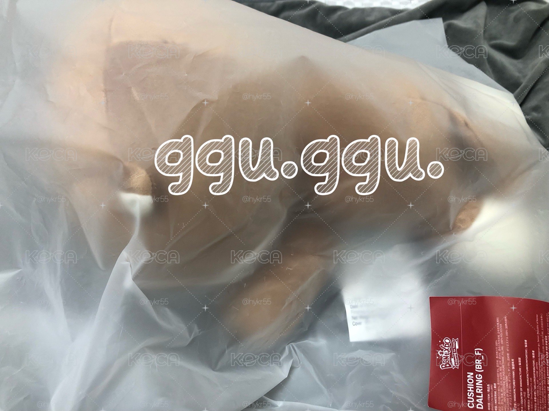 BOYNEXTDOOR DALRING娃抱枕 趴娃