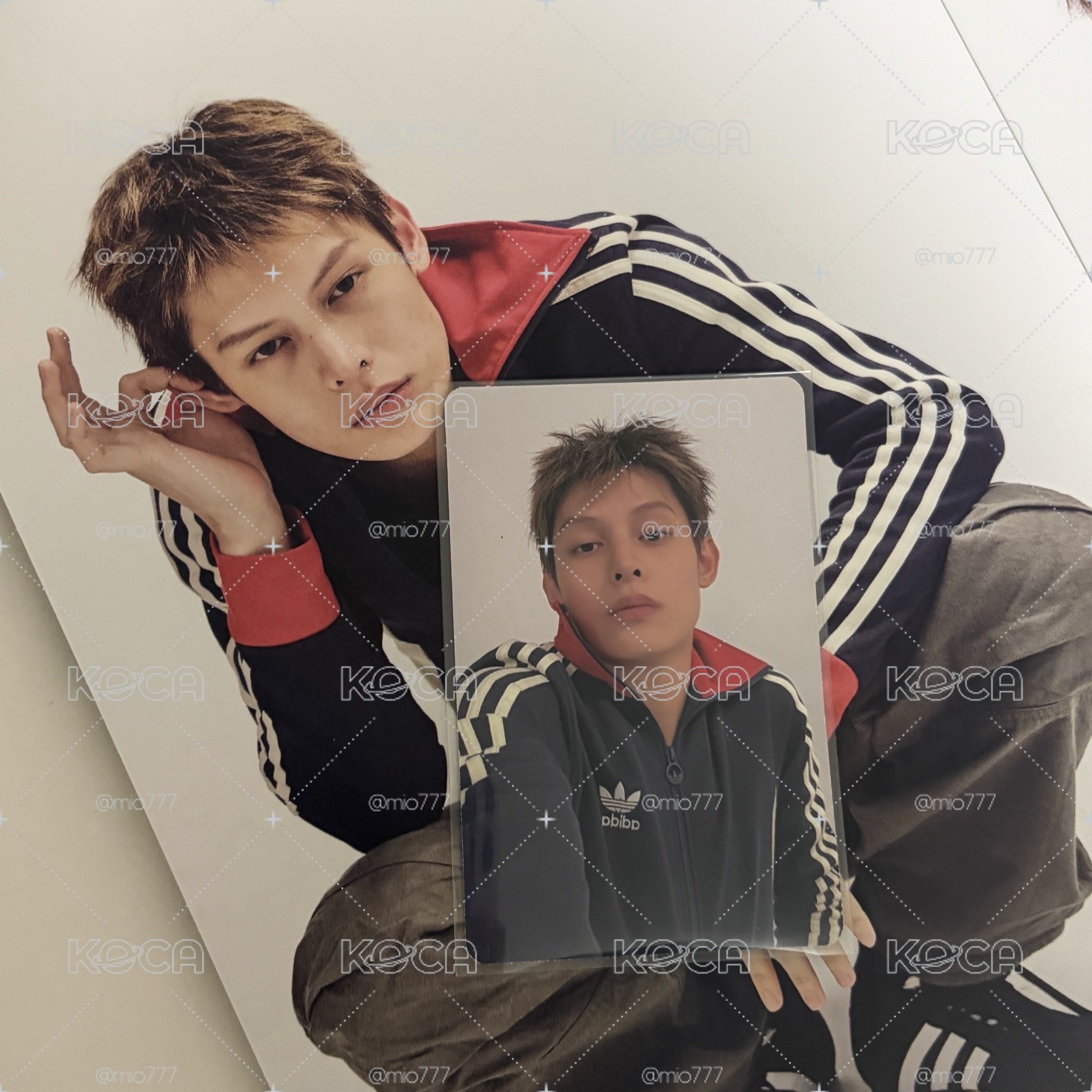 黑白版Adidas趙小咪