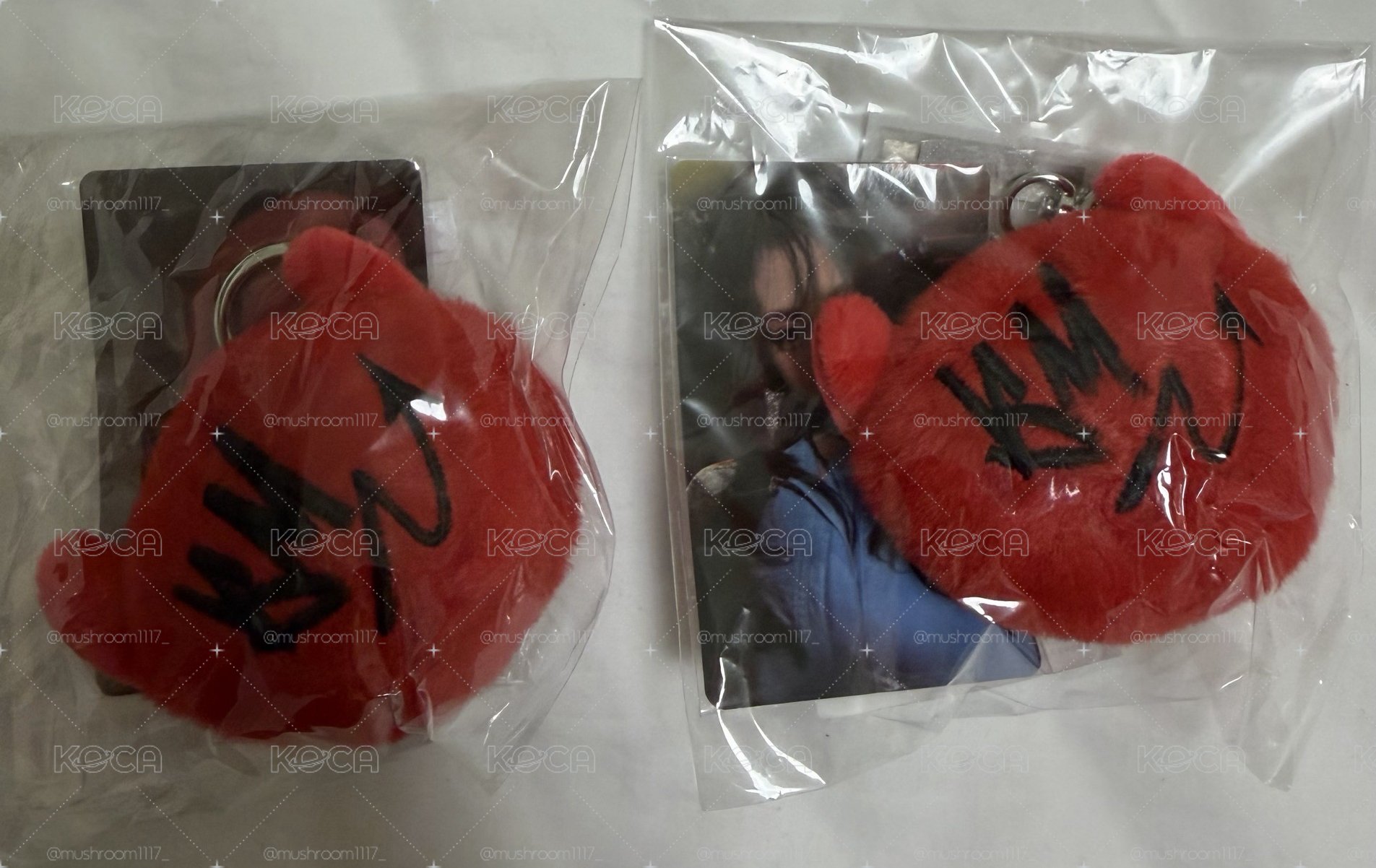 現貨 絨毛鑰匙圈吊飾 ASA/賢