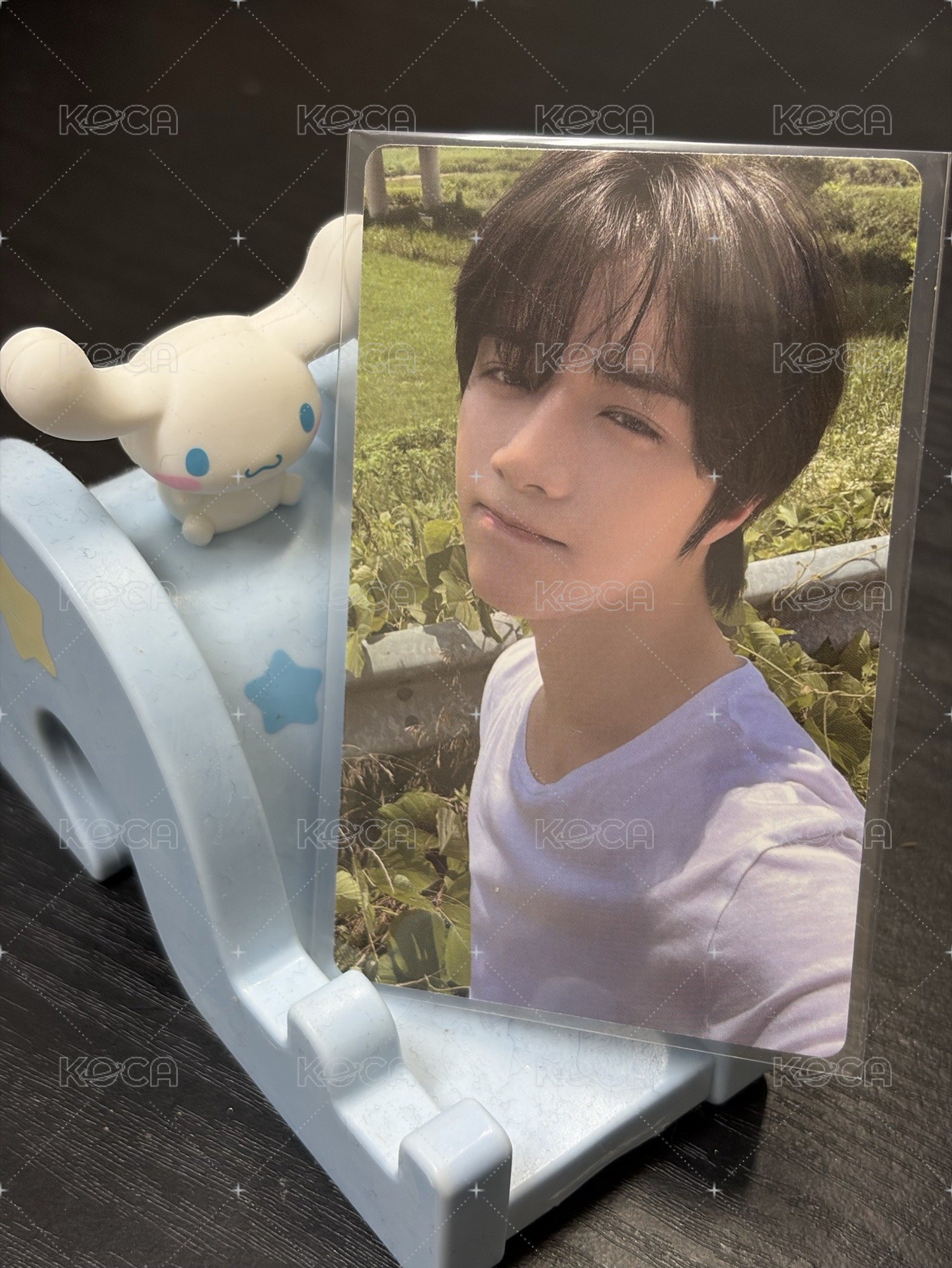 圭