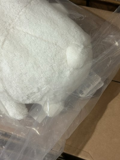 B賞熊大娃