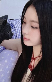 圭