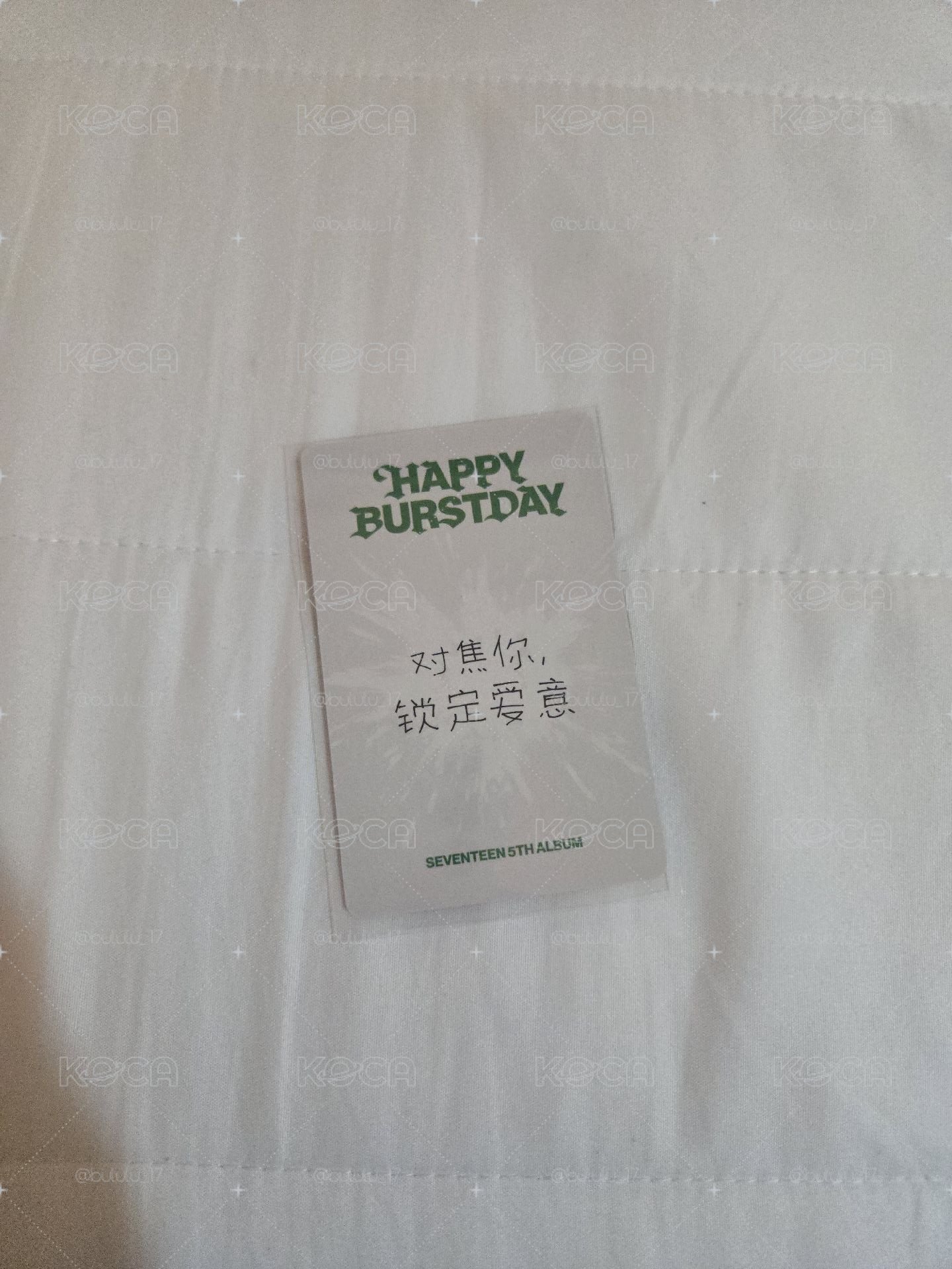 正規五DK一直娛中背特典