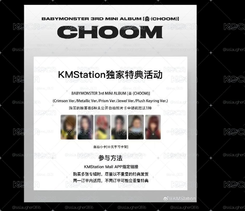 Kms 中背賢