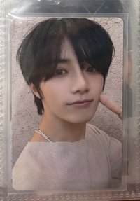 圭