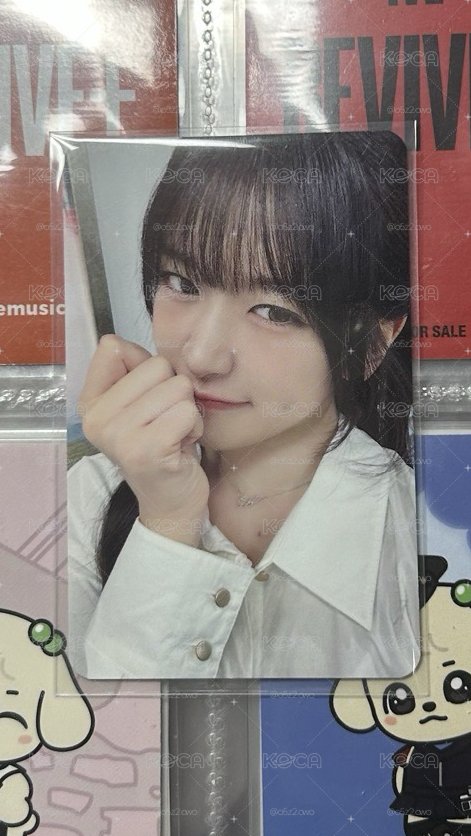 kit安