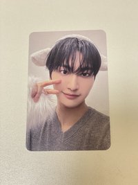 小羊
