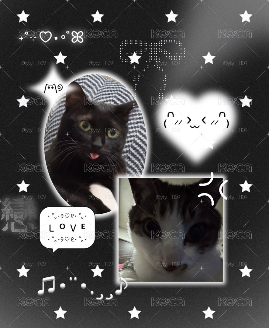 韓團福袋！🎀