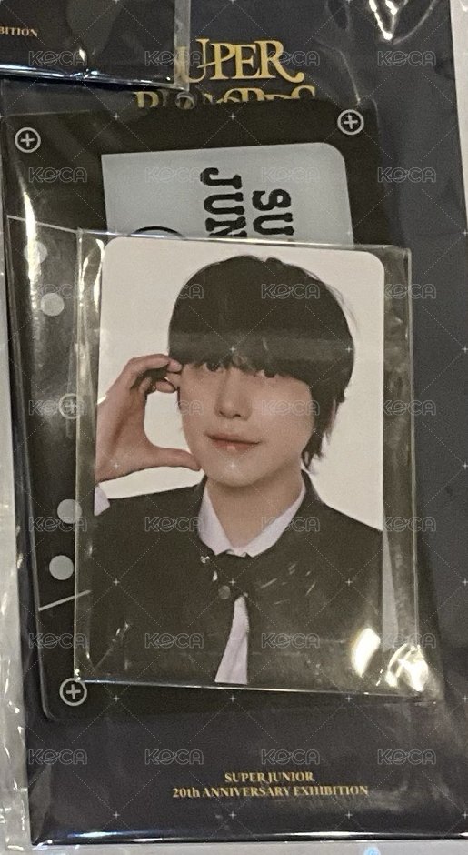 圭